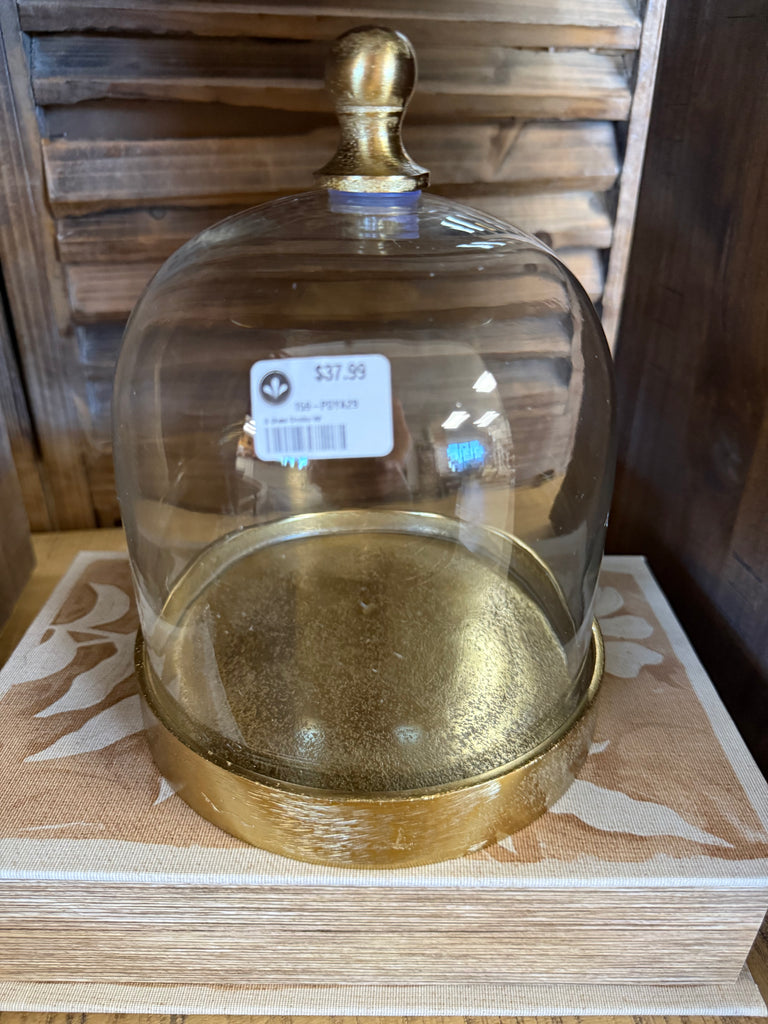 8" Glass Cloche with Gold Base