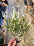 12.5" White Lavender Bush