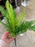 13" Mixed Fern Bunch
