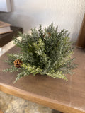 Icy Pine Half Orb 6.5