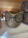 Gold Owl With Glasses Planter