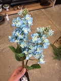 26" Blue Cone Hydrangea Stem