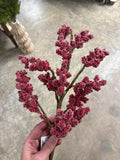 Iced Berry Spray