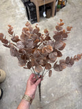 20" Autumn Eucalyptus Bush