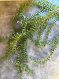 26" Fern Hanging Bush