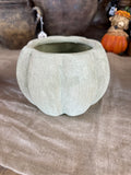 5.5" Open Pumpkin