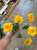 24" Yellow Dahlia Stem