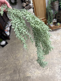 36" Natural Touch Rosemary Hanging Vine
