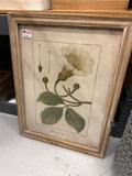 18x14 Framed Floral Print FINAL SALE