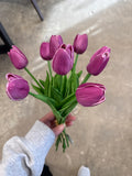13" Dutch Tulip Bundle X9