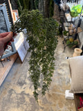 56" Soft Cedar Hanging Spray