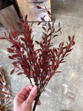 18" Burgundy Willow Bush