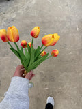 13" Dutch Tulip Bundle X9