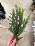 20" Soft Pine Spray