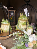 Terracotta Frog