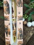 Orange Tabby Cat Pen