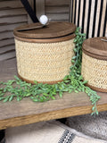 35" Succulent Seed Hanging Vine