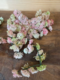 10" Natural Touch Hanging Sedum Vine