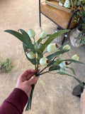 Soft Green Pod Bundle