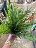 17" Real Touch Cedar/Norfolk Pine Bundle