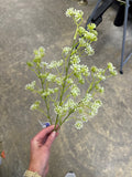 26soft Pe Sedum Spray Cr