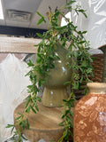 43" Privet Hanging Spray