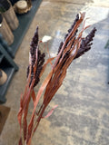 25" Astilbe Grass Spray