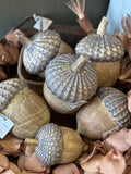 Resin Harvest Acorns