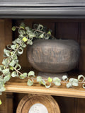 30" Curly Ficus Vine