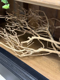 27" Natural Tea Tree Branch