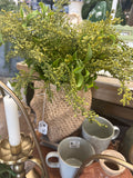 19" Soft Sedum Bush