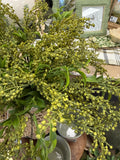19" Soft Sedum Bush