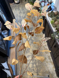 37" Wild Autumn Beech  Spray