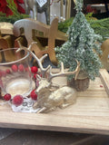 Boxed Holiday Tray Set - 6 Pieces