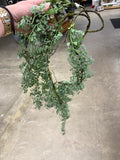 43" Mini Button Leaf Hanging Bush