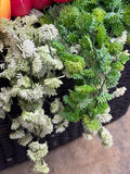 10" Hanging Real Touch Sedum Vine