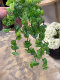 10" Hanging Real Touch Sedum Vine