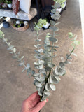 31" Eucalyptus Leaf Spray