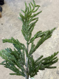 30" Iced Norfolk Pine Branch