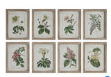 18x14 Framed Floral Print FINAL SALE