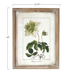 18x14 Framed Floral Print FINAL SALE