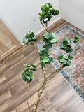 Mini Eucalyptus Spray