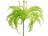 Soft Mini Fern Pick